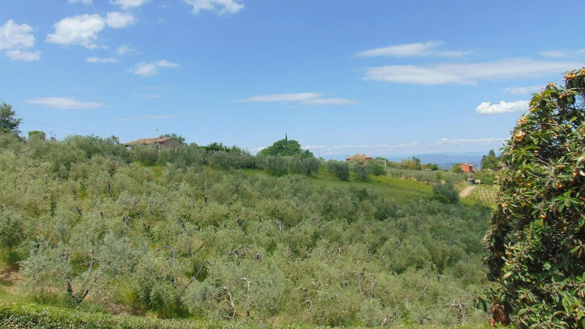 Podere Luma Camera Melograno Gambassi Terme