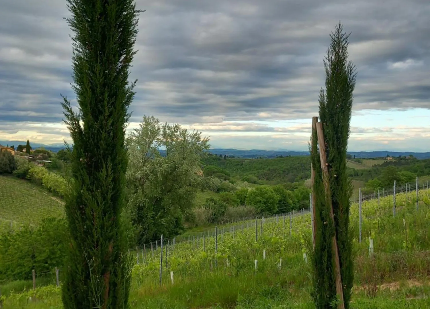 Podere Luma Camera Melograno Gambassi Terme 0*,  Włochy